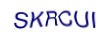 simple_captcha.jpg